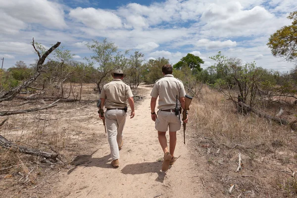 Sudáfrica Guías Guardabosques Vida Silvestre Con Armas Que Alejan Bosque —  Fotos de Stock