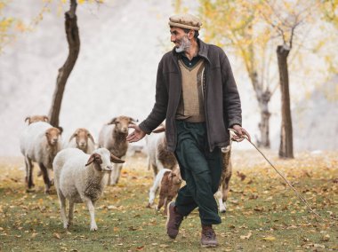 Hunza Valley, Pakistan: Geleneksel kıyafetler içindeki Pakistanlı adam. Koyun sonbaharı otlağı Hunza Vadisi, Gilgit Baltistan, Pakistan Nokta Bölgesi