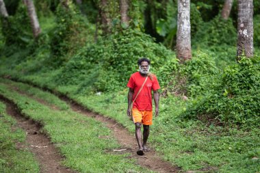 Pentercost, Vanuatu - Haziran 2019: Yeşil yemyeşil yağmur ormanı, Melanezyalı adam yolda