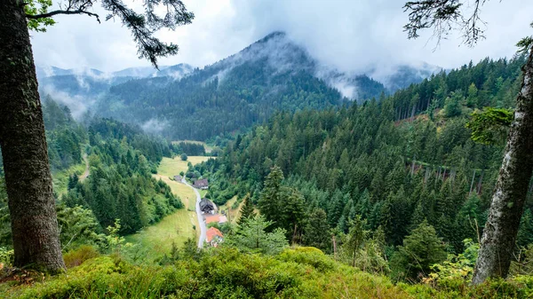 A little hidden valley with summer light rain & mist at Schwarzwald, Germany.