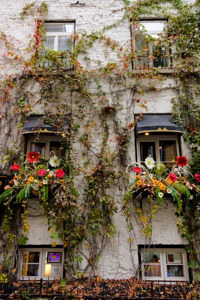 Colorful flower planters by shop\'s windows, Quebec, Canada.