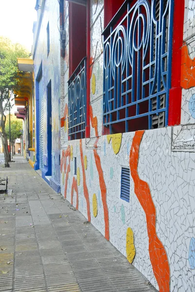 Calle Lanin mosaic — 스톡 사진