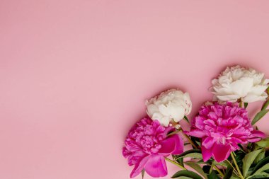 Üzerinde pembe şakayık çiçekleri olan minimalist bir kartpostal çizimi. Dikiş dikmek için bir zarf. Pembe arka plan. Anneler Günü için tebrikler. Doğum günün kutlu olsun. Şakayıklı narin arkaplan