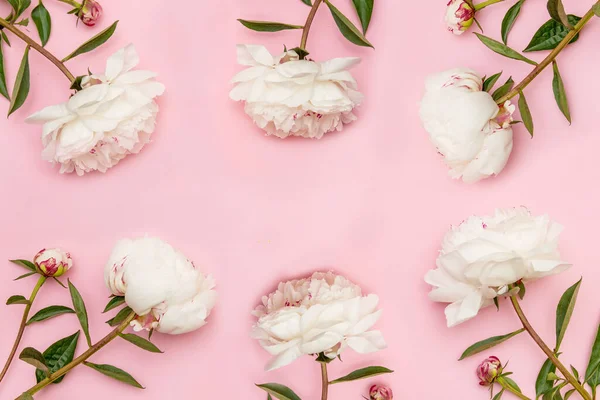 Layout Cartão Postal Minimalista Com Uma Flor Peônias Rosa Envelope Fotos De Bancos De Imagens Sem Royalties