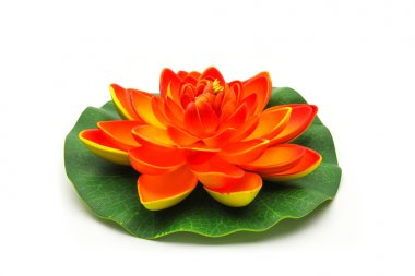 Lotus çiçek modeli