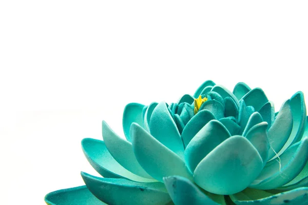 Lotus çiçek modeli