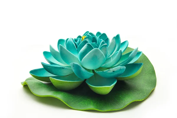 Modelo de flor de lótus — Fotografia de Stock