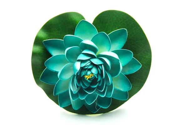 Lotus çiçek modeli — Stok fotoğraf