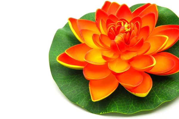 Lotus flower model — Stock Photo, Image