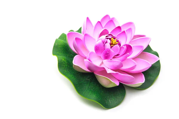 Beyaz arka plan üzerinde izole yaprak ile Lotus çiçek modeli