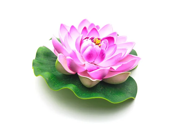 Lotus flower model with leaf isolated on white background — Stock Photo, Image