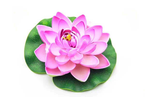 Modelo de flor de loto con hoja aislada sobre fondo blanco Fotos de stock libres de derechos