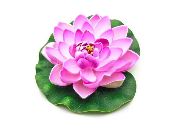 Modelo de flor de loto con hoja aislada sobre fondo blanco Imagen de archivo