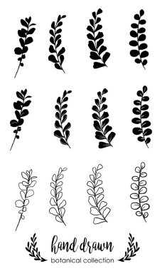 Elle çizilmiş çiçek dalları ve yaprakları. Botanik taslak koleksiyonu. Tasarım için dekoratif elementler. Mürekkep, mahsul, kırsal.