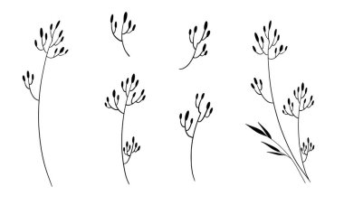 El çizimi çiçek dalları ve yaprakları. Botanik taslak koleksiyonu. Tasarım için dekoratif elementler. Mürekkep, mahsul, kırsal.