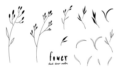 El çizimi çiçek dalları ve yaprakları. Botanik taslak koleksiyonu. Tasarım için dekoratif elementler. Mürekkep, mahsul, kırsal.