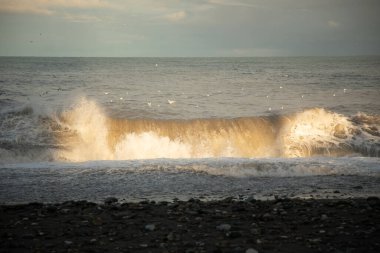 Dalgaların güzel kıvrımları dalgalı bir denizde.