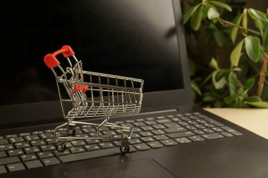 Laptopta alışveriş sepeti ve arka planda bitkiler. kopyalama alanı. alışveriş kavramı
