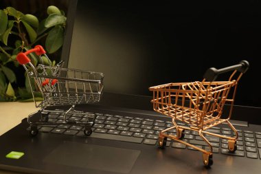 Laptopta alışveriş sepetleri ve arka planda bitkiler. kopyalama alanı. alışveriş kavramı