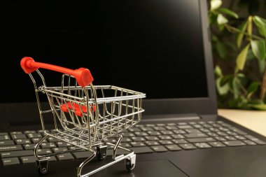Laptopta alışveriş sepeti ve arka planda bitkiler. kopyalama alanı. alışveriş kavramı