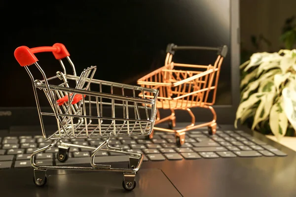 shopping baskets on laptop with plants on background. copy space. shopping concept