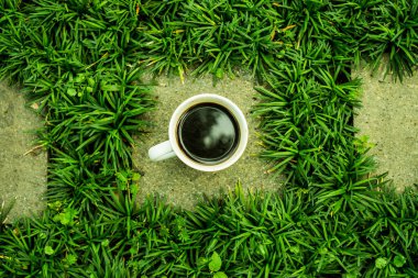 Yeşil çimenlerin arasına yerleştirilmiş bir fincan kahve..