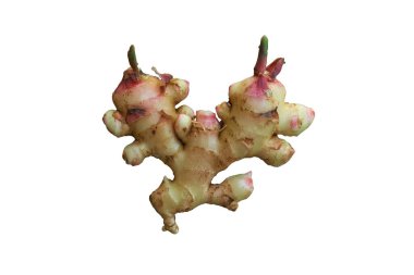 Beyaz arkaplanda izole edilmiş bir kızılın parçası.