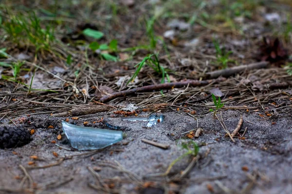 Concepto de ecología ambiental, basura en el bosque, una astilla de un cuello de botella de una botella de vidrio se encuentra en el suelo y la hierba. fondo borroso —  Fotos de Stock