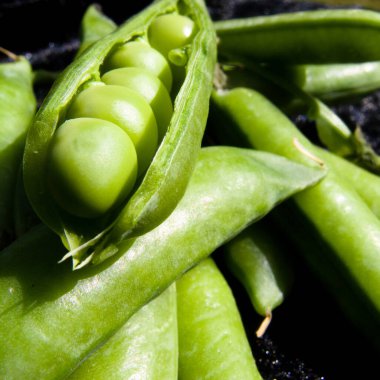 Yeşil bezelyeleri kapat.