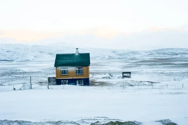 Osamělý Dům Zelenou Střechou Ledovém Poli — Stock fotografie