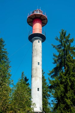 Eski deniz feneri ağaçları ve mavi gökyüzü