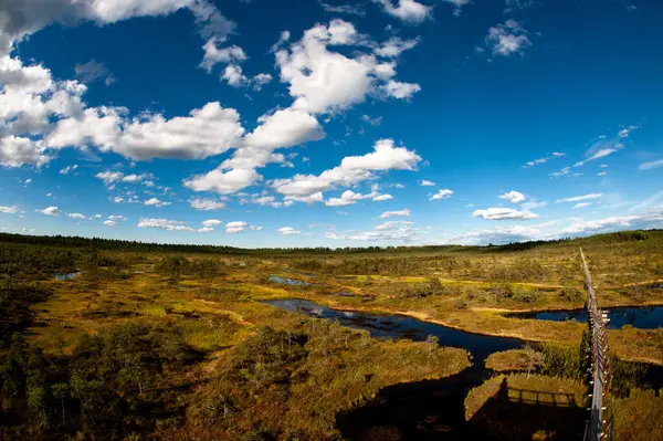 Wide Angle Bog Landscape Wth Blue White Sky — Stock Photo, Image