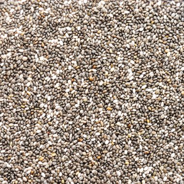 Chia tohum kare biçimi