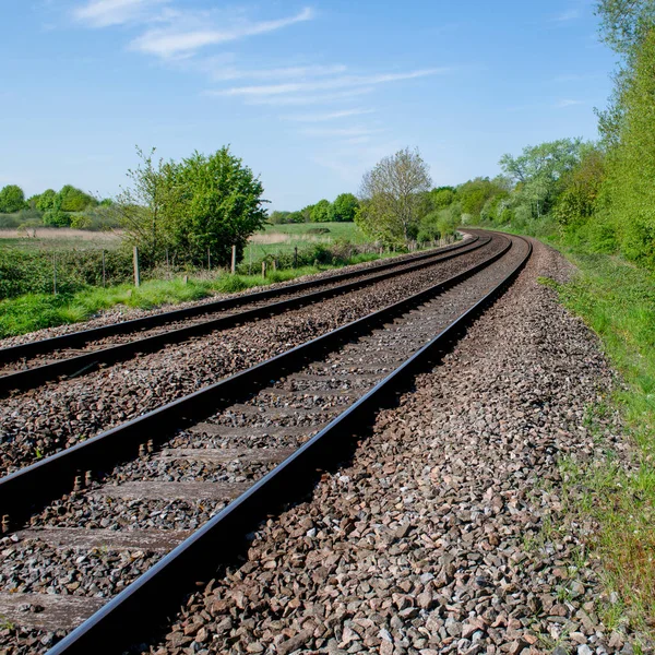 Square Perspective View Parallel Railroad Tracks Running Bend Surrounded Lush — Stock Photo, Image