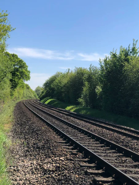 Dikey ağaç boş tren yolu işaretlerinden temizlenmiş. Poster veya metin kaplaması için mavi gökyüzü tarafında bükülmeye öncülük ediyor. 
