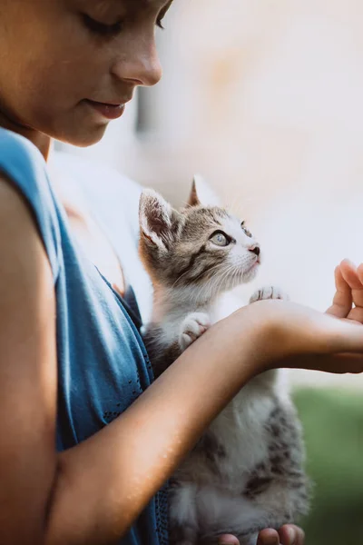 Rädd Hemlös Kattunge Händerna Ett Barn Begreppet Husdjur Vänskap Tillit — Stockfoto