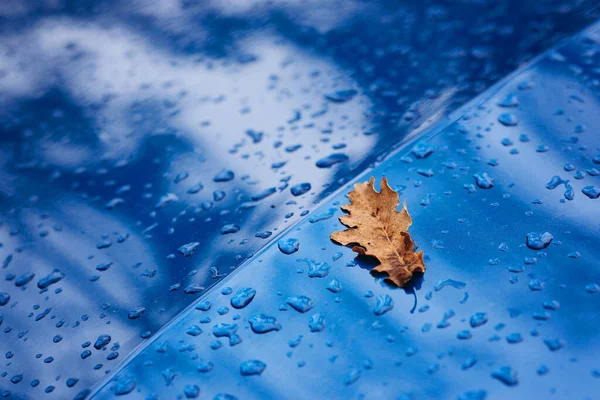 Regentropfen Und Gelbes Trockenes Blatt Auf Der Oberfläche Eines Blauen — Stockfoto