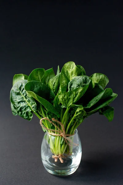 Begreppet Ren Mat Ett Gäng Blad Färska Ekologiska Spenat Greener — Stockfoto