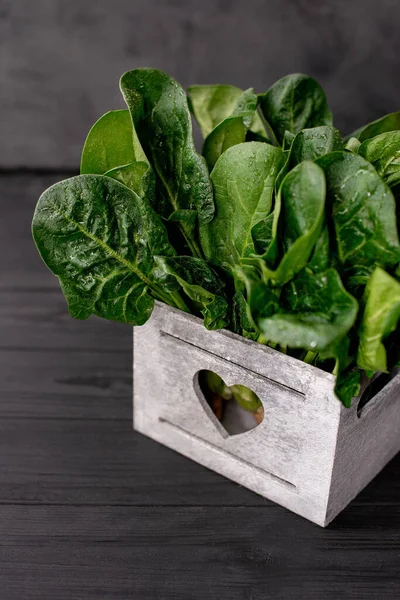 Begreppet Ren Mat Blad Färska Ekologiska Spenat Greener Trälåda Svart — Stockfoto