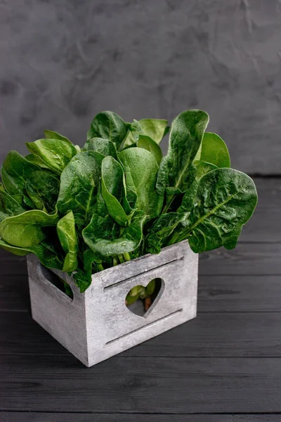 Begreppet Ren Mat Blad Färska Ekologiska Spenat Greener Trälåda Svart — Stockfoto