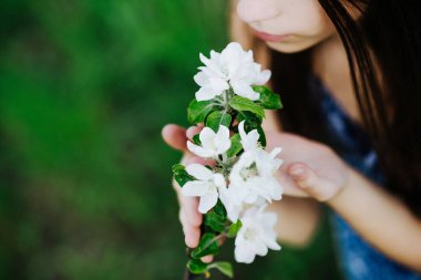 Kız bahçede çiçek açan elma ağaçlarının kokusundan hoşlanıyor. Çiçek açan bahçe. Alerji sezonu. Yakın plan. Yumuşak odak.