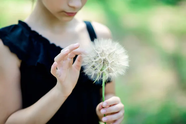 Child Touches Large White Fluffy Dandelion His Hand Summer Photo — Stock Photo, Image