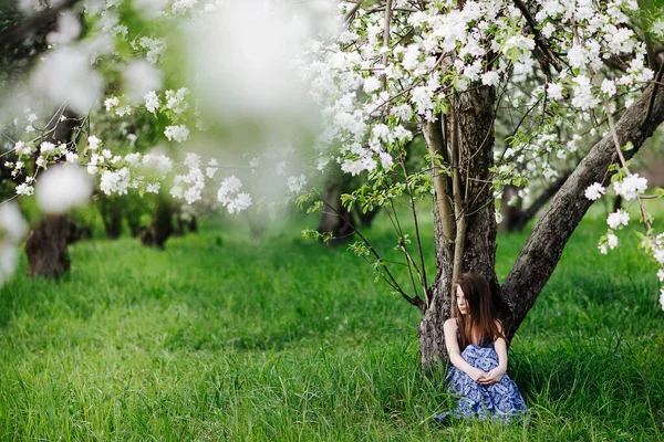 Uma Menina Bonita Vestido Azul Senta Sob Uma Árvore Maçã — Fotografia de Stock