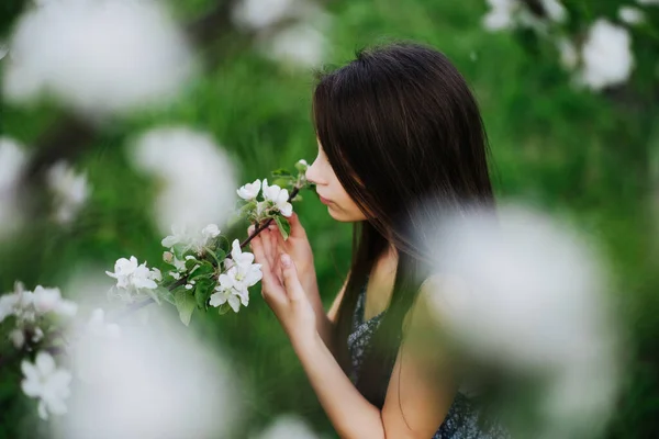 Mädchen Genießen Den Duft Blühender Apfelbäume Garten Blühender Garten Allergie — Stockfoto