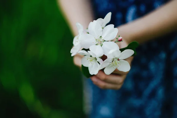 Buquê Flores Primavera Nas Mãos Uma Menina Fundo Vestido Azul — Fotografia de Stock