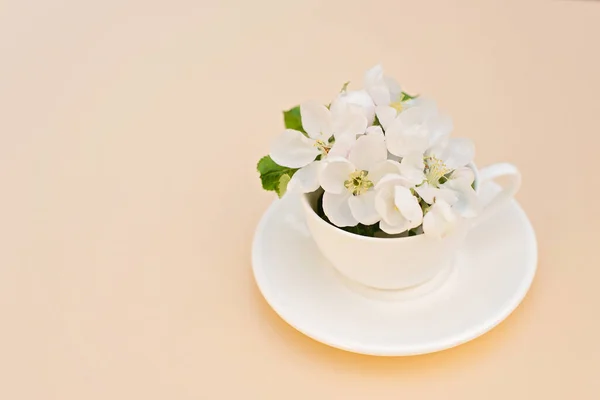 Primavera Branca Macieira Florescendo Flores Uma Xícara Café Fundo Bege — Fotografia de Stock