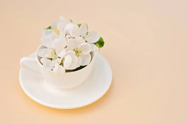 Λευκή Ανοιξιάτικη Μηλιά Ανθισμένα Λουλούδια Ένα Φλιτζάνι Καφέ Μπεζ Φόντο — Φωτογραφία Αρχείου