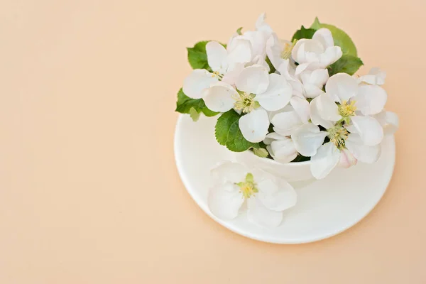 Mărul Alb Primăvară Înflorește Flori Într Ceașcă Cafea Fundal Bej — Fotografie, imagine de stoc