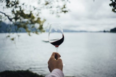 Lucerne Gölü 'nde bir kadeh kırmızı şarap