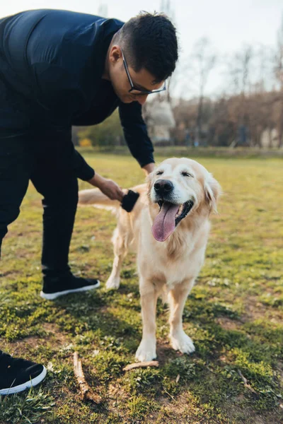 The golden retriever is combed by his man, on the walk, people with dog